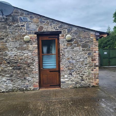 Mount Pleasant Country House Guest House Лукан Екстериор снимка